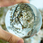 LENS BALL